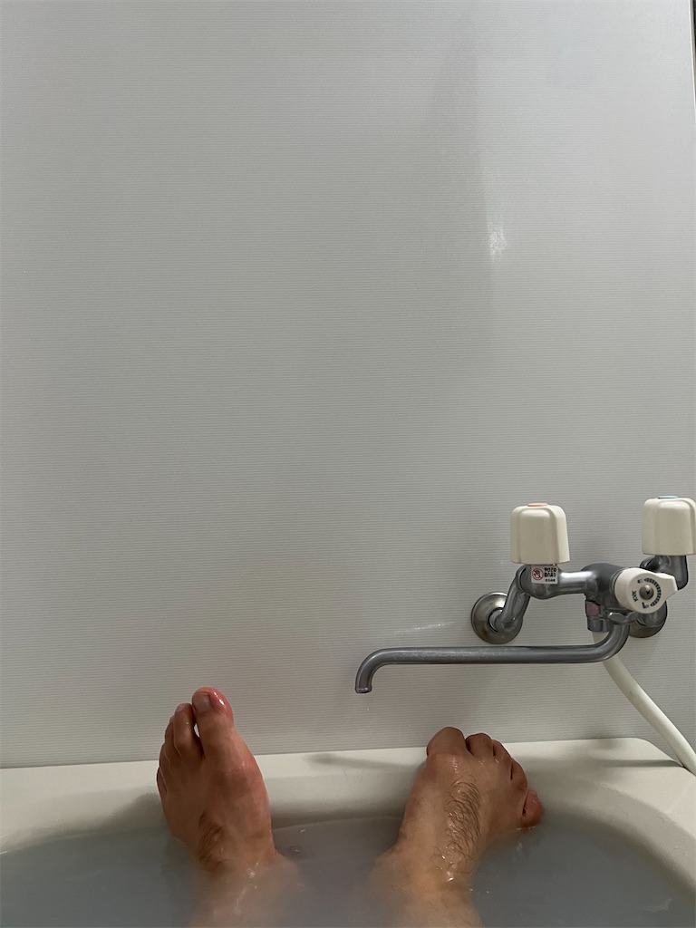 f:id:willemer:20211128003002j:image f:id:willemer:20211128003002j:image