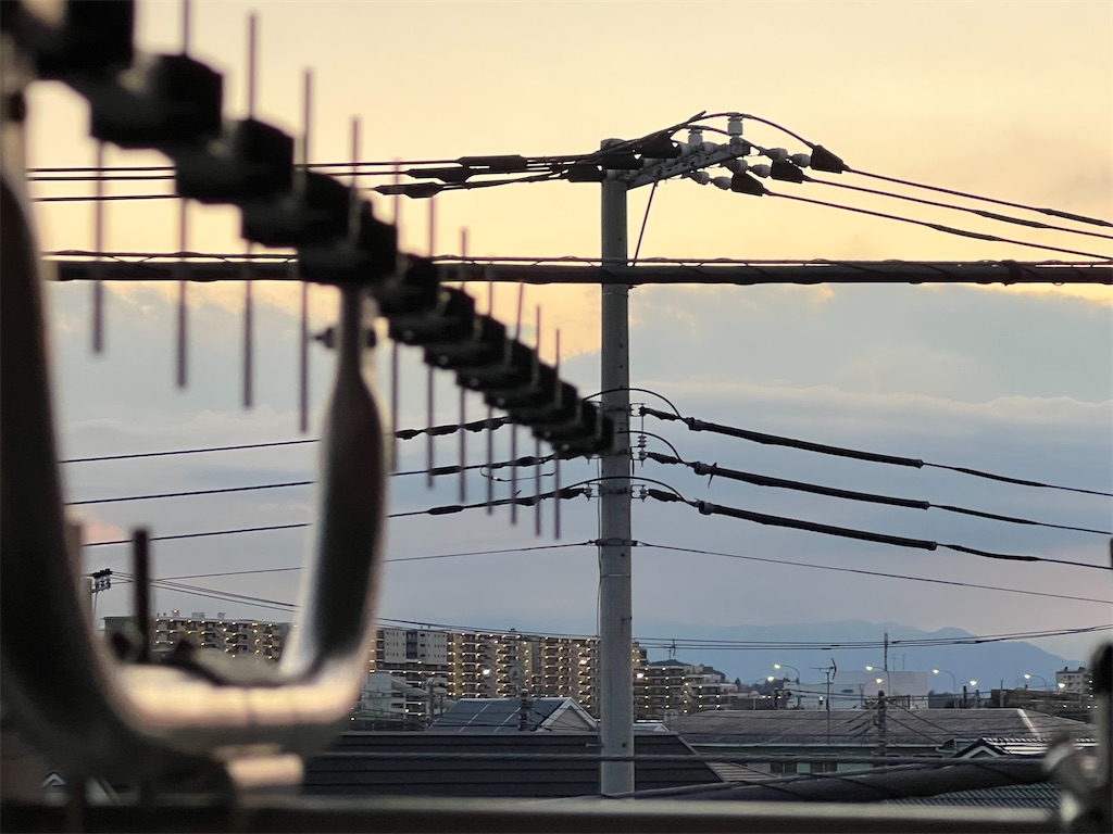 f:id:willemer:20220118030651j:image f:id:willemer:20220118030651j:image