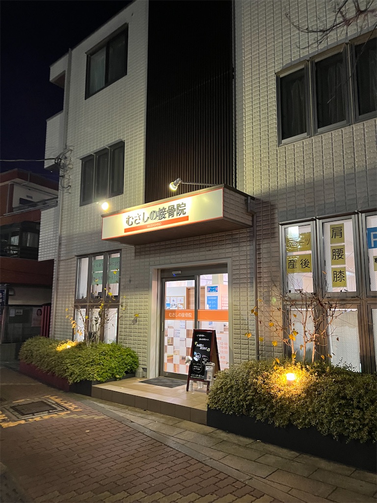 f:id:willemer:20220119023947j:image