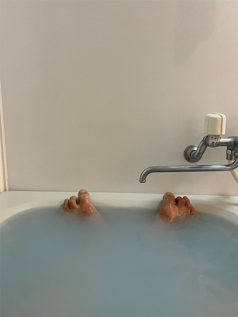 f:id:willemer:20220119024013j:image