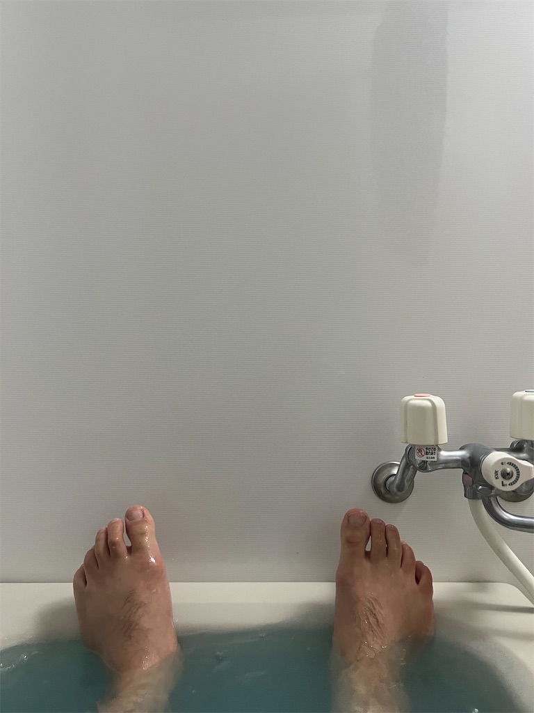 f:id:willemer:20220610105141j:image