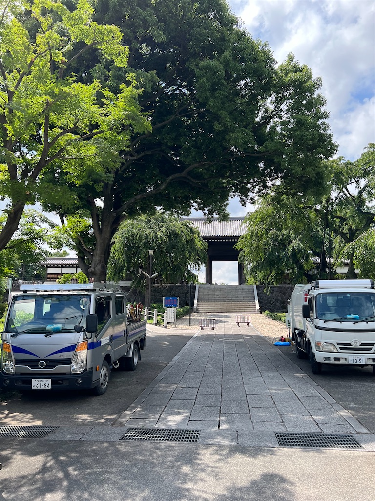 f:id:willemer:20220610105146j:image