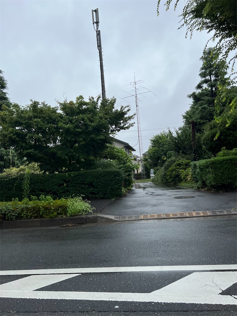 f:id:willemer:20220714100948j:image f:id:willemer:20220714100948j:image