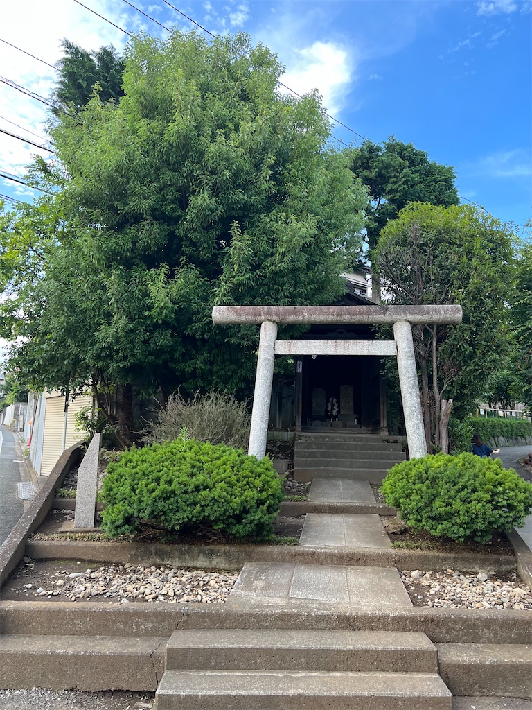 f:id:willemer:20220719010317j:image