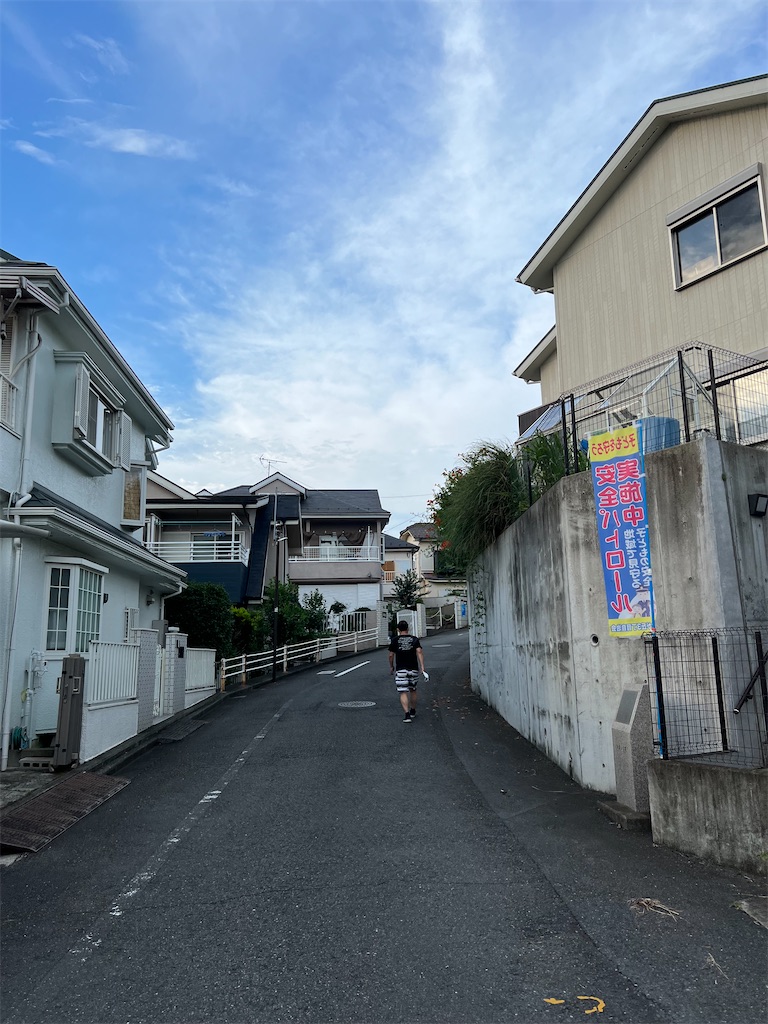 f:id:willemer:20220719010319j:image