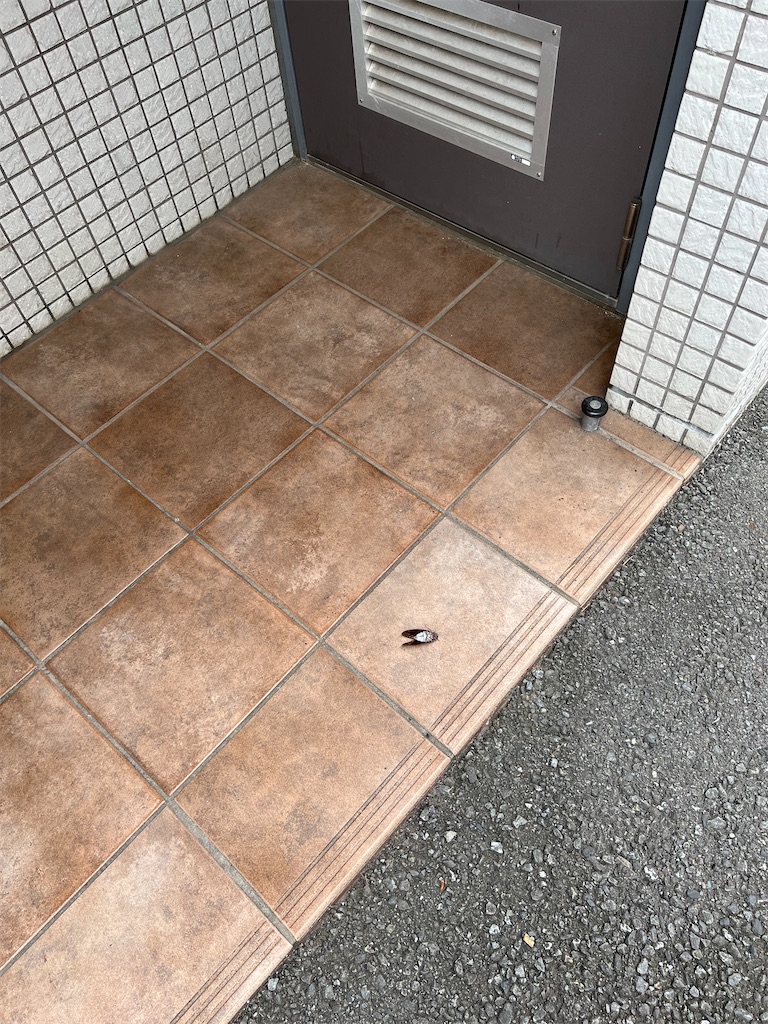 f:id:willemer:20220719010408j:image