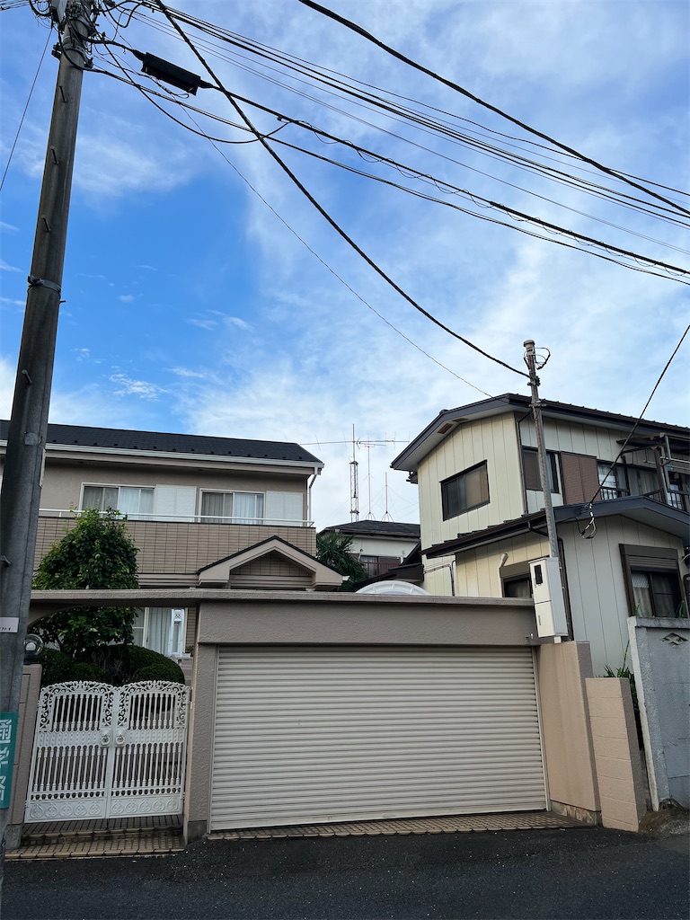 f:id:willemer:20220719010437j:image