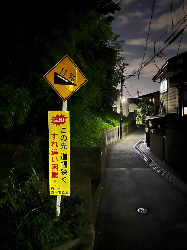 f:id:willemer:20220723220413j:image