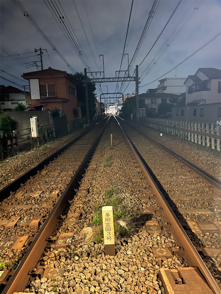 f:id:willemer:20220723220416j:image