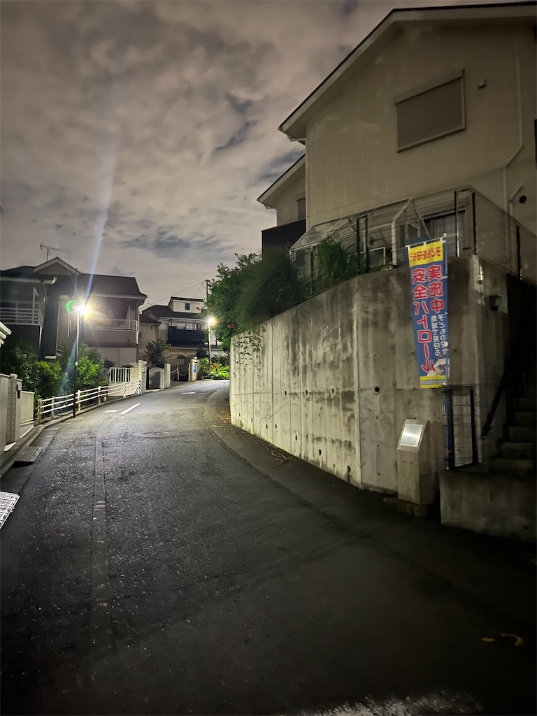 f:id:willemer:20220723220441j:image