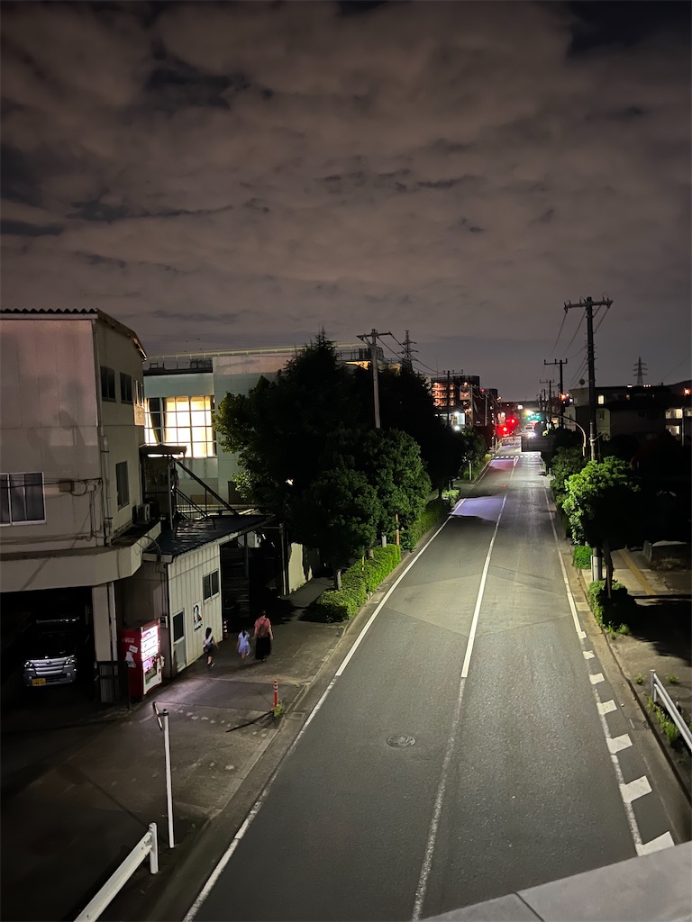 f:id:willemer:20220723220457j:image