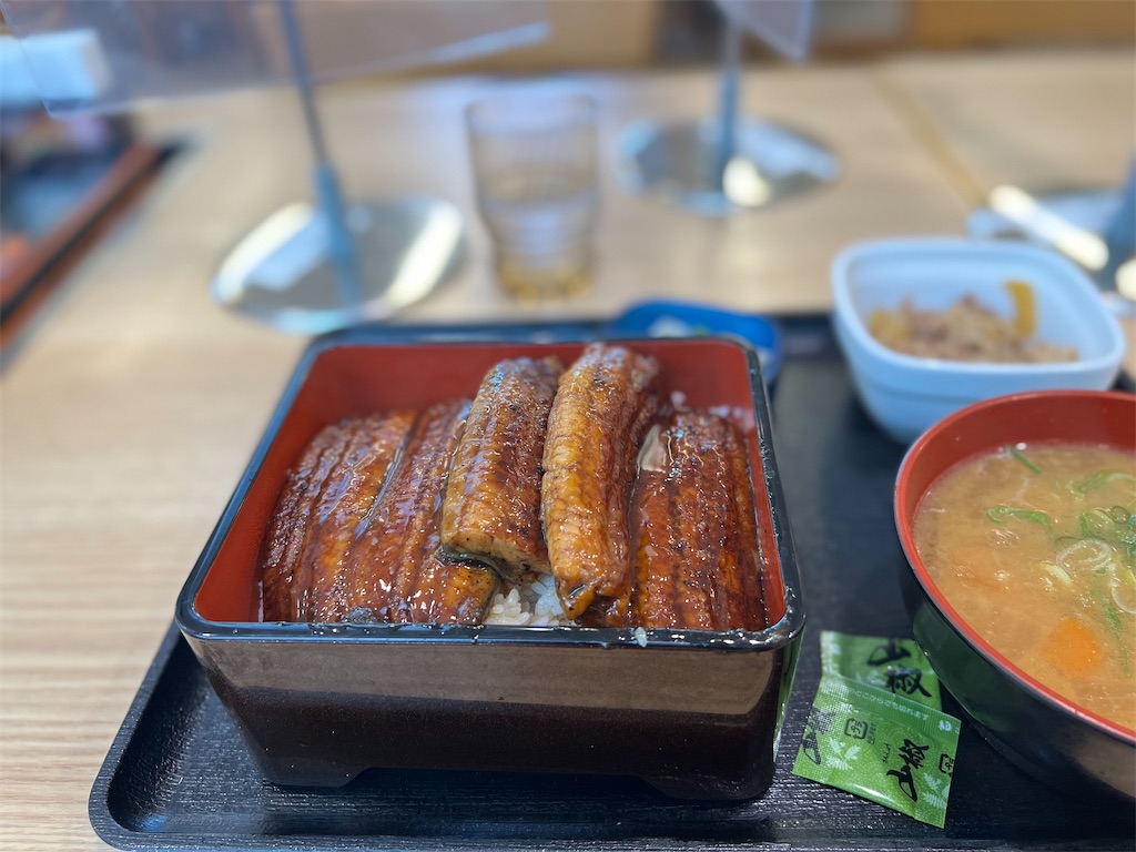 f:id:willemer:20220723220516j:image