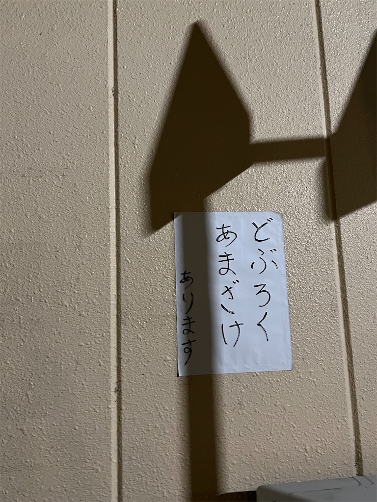 f:id:willemer:20220723221448j:image