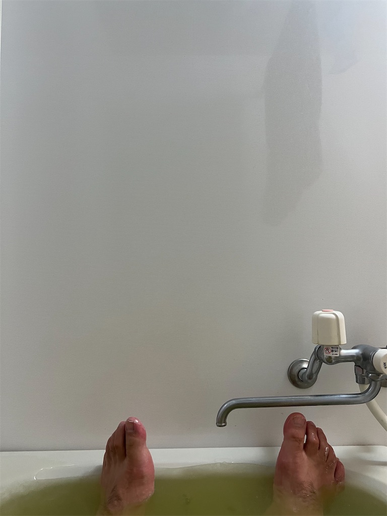 f:id:willemer:20220724130215j:image