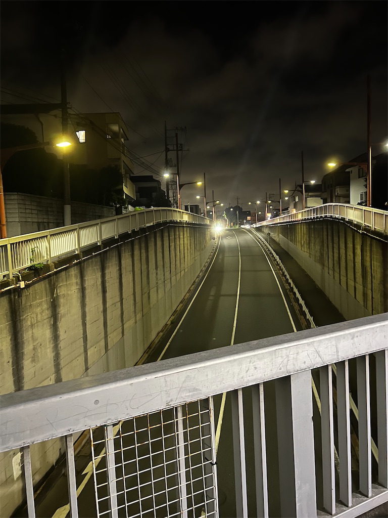 f:id:willemer:20220727010629j:image