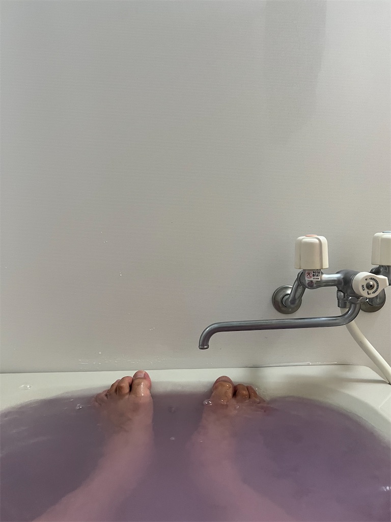 f:id:willemer:20220727010724j:image