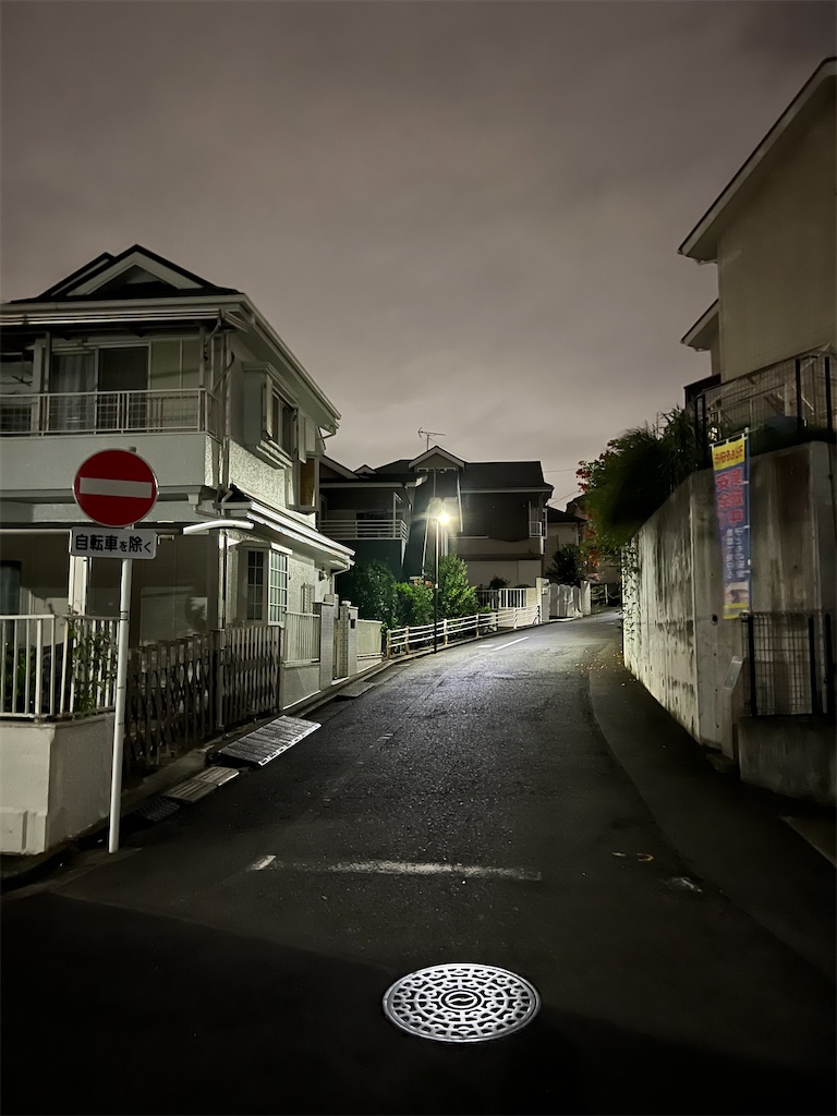 f:id:willemer:20220807022742j:image