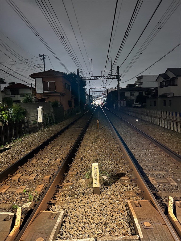 f:id:willemer:20220807022824j:image