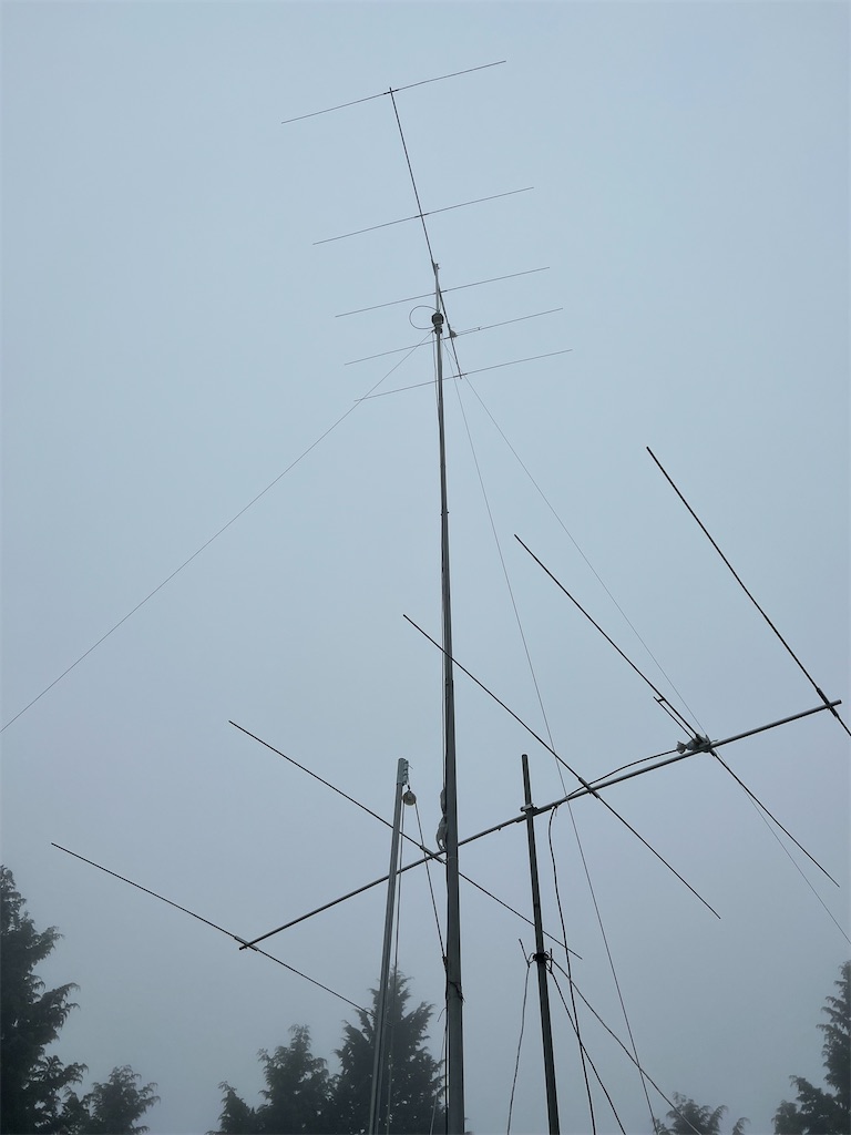 f:id:willemer:20220807024149j:image