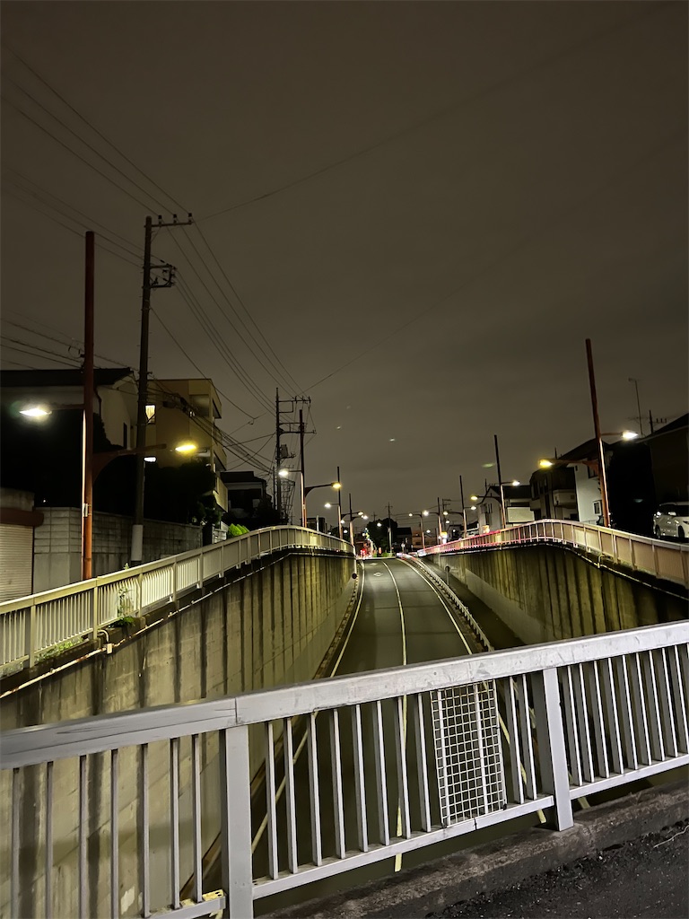 f:id:willemer:20220807024152j:image