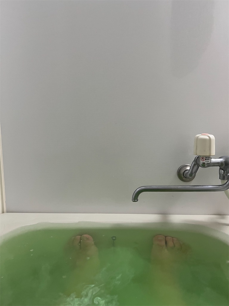 f:id:willemer:20220807024218j:image