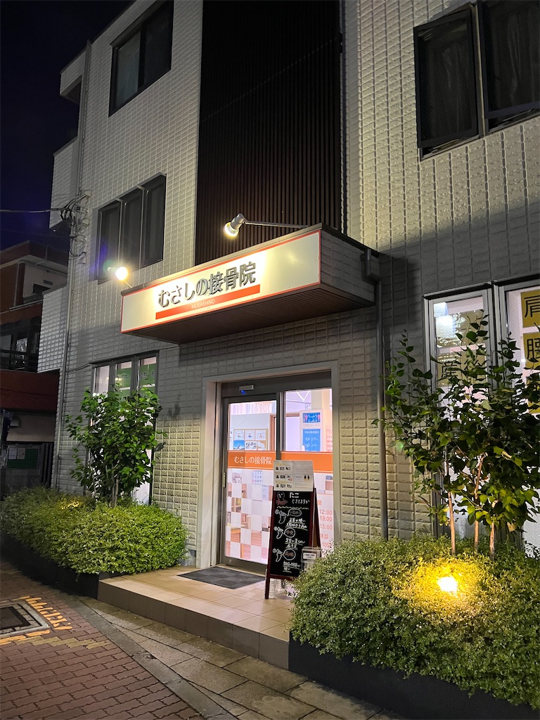 f:id:willemer:20220808200818j:image