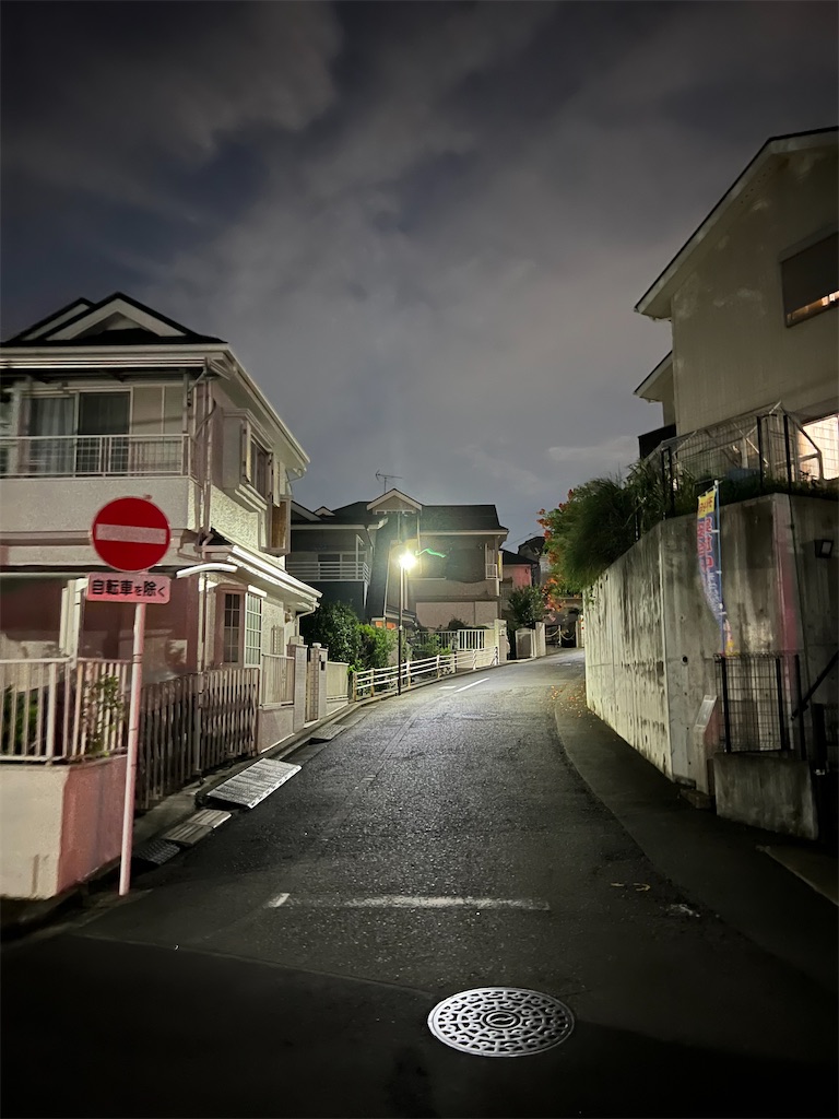 f:id:willemer:20220808230750j:image