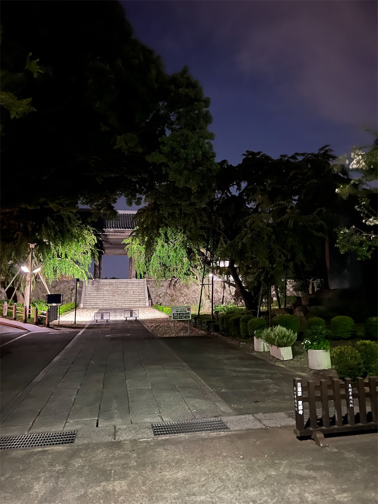 f:id:willemer:20220808230808j:image