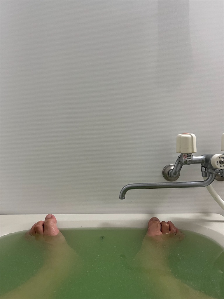 f:id:willemer:20220812111858j:image f:id:willemer:20220812111858j:image