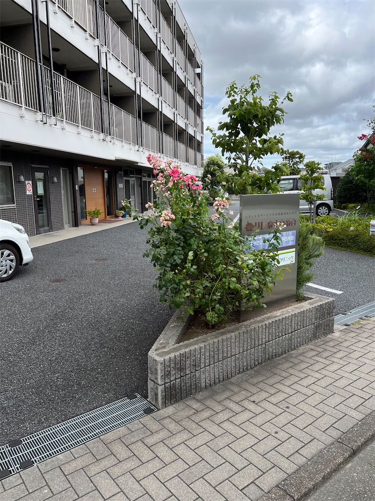 f:id:willemer:20220812214133j:image