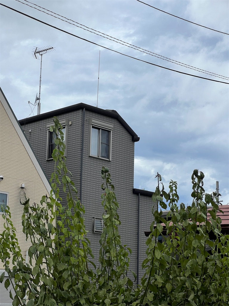 f:id:willemer:20220812214208j:image