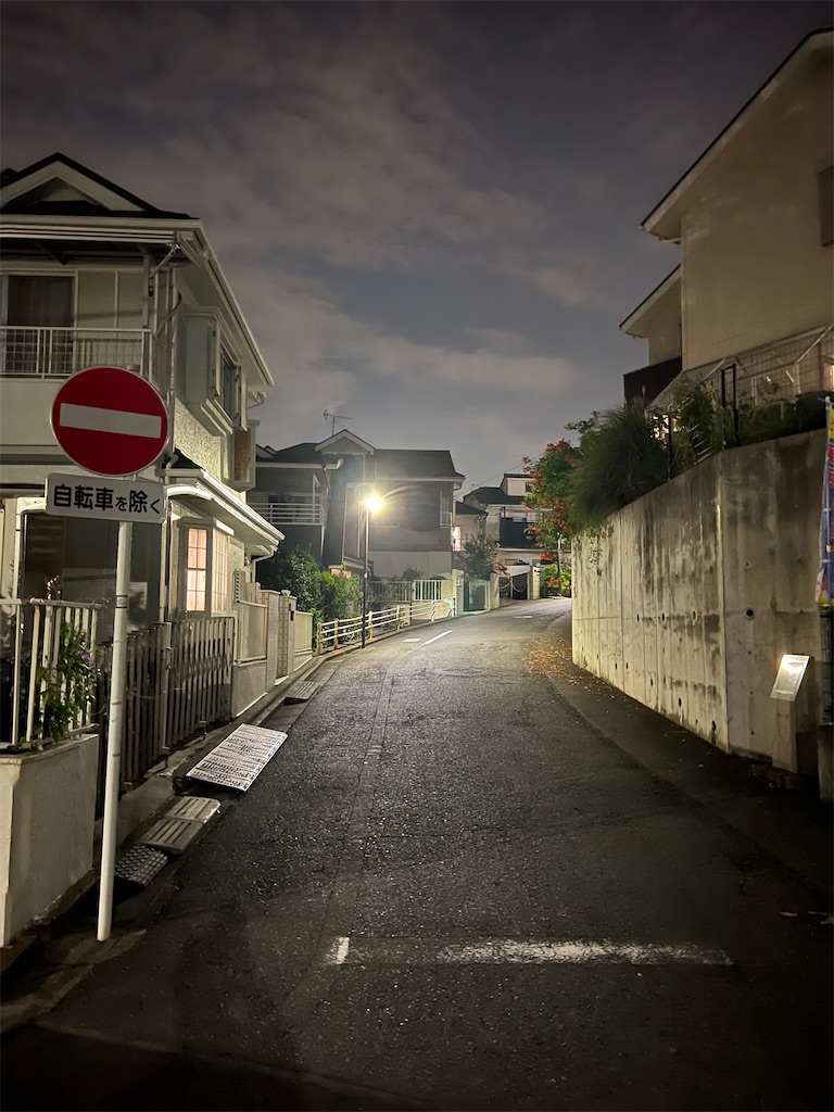 f:id:willemer:20220816104148j:image