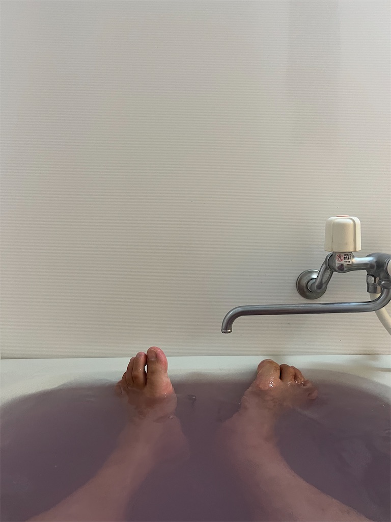 f:id:willemer:20220816104211j:image