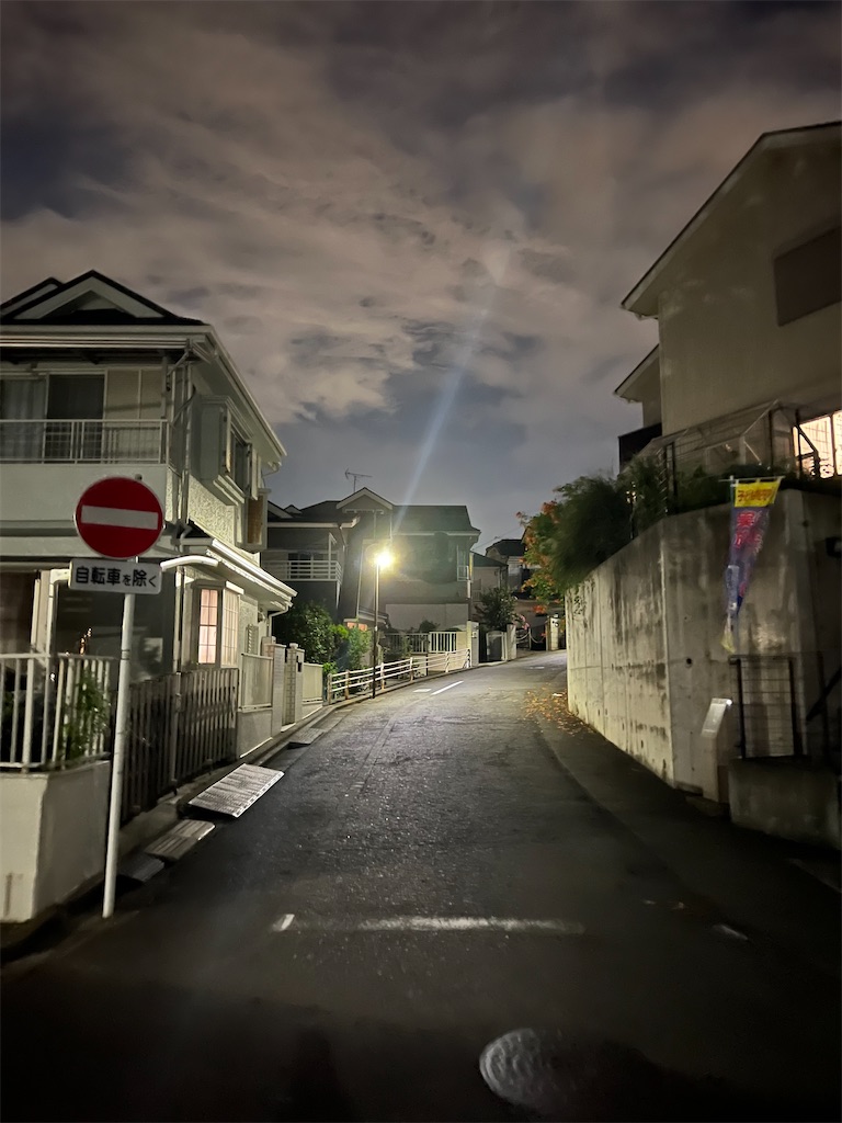 f:id:willemer:20220817002050j:image f:id:willemer:20220817002050j:image