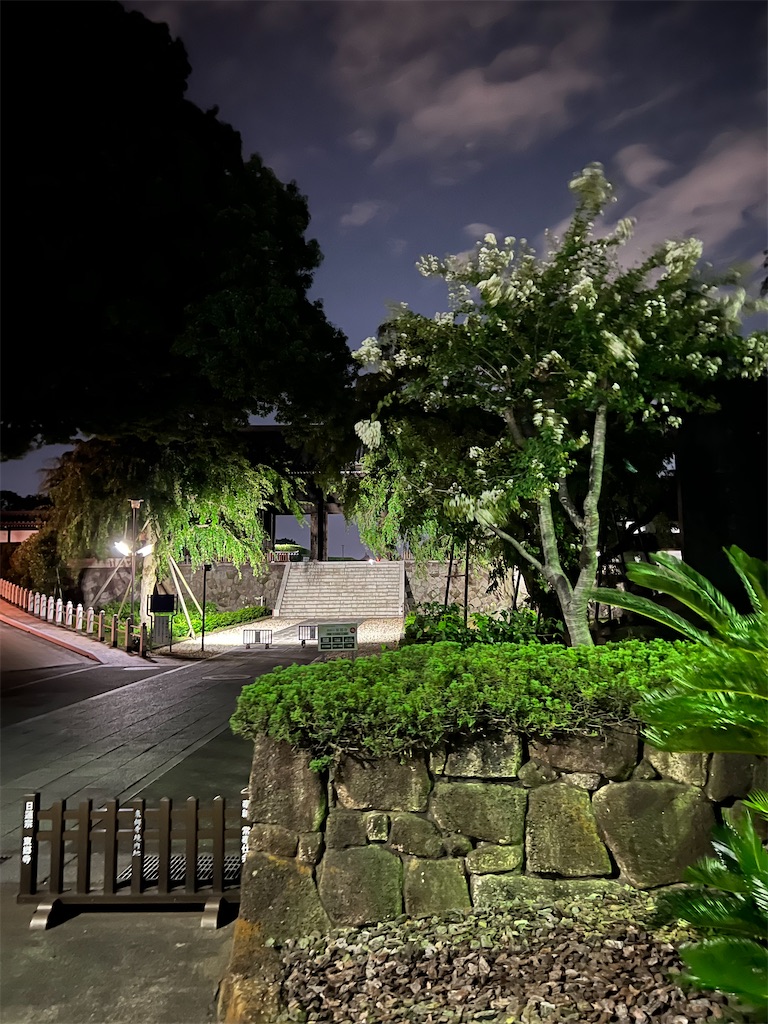 f:id:willemer:20220817002057j:image f:id:willemer:20220817002057j:image