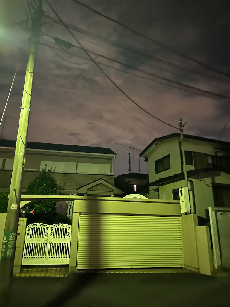 f:id:willemer:20220817002136j:image f:id:willemer:20220817002136j:image