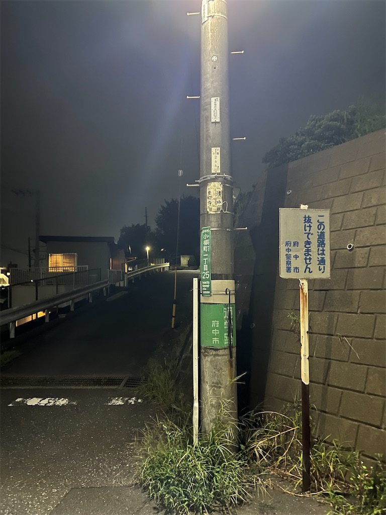 f:id:willemer:20220817002139j:image f:id:willemer:20220817002139j:image