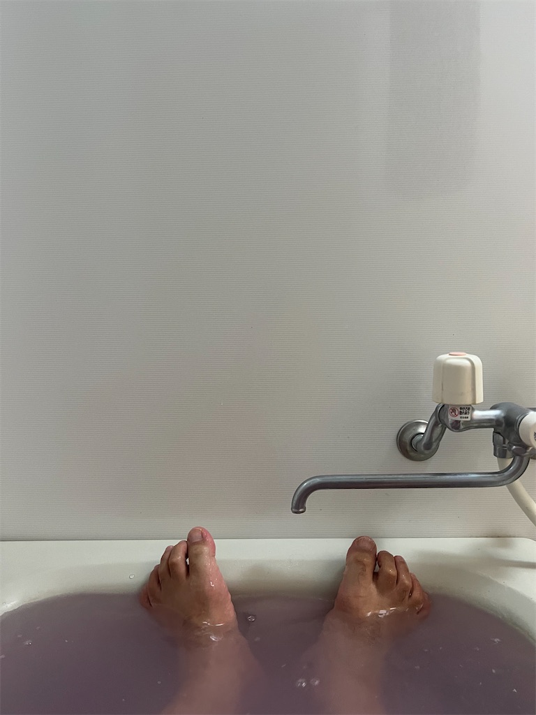 f:id:willemer:20220817020424j:image f:id:willemer:20220817020424j:image