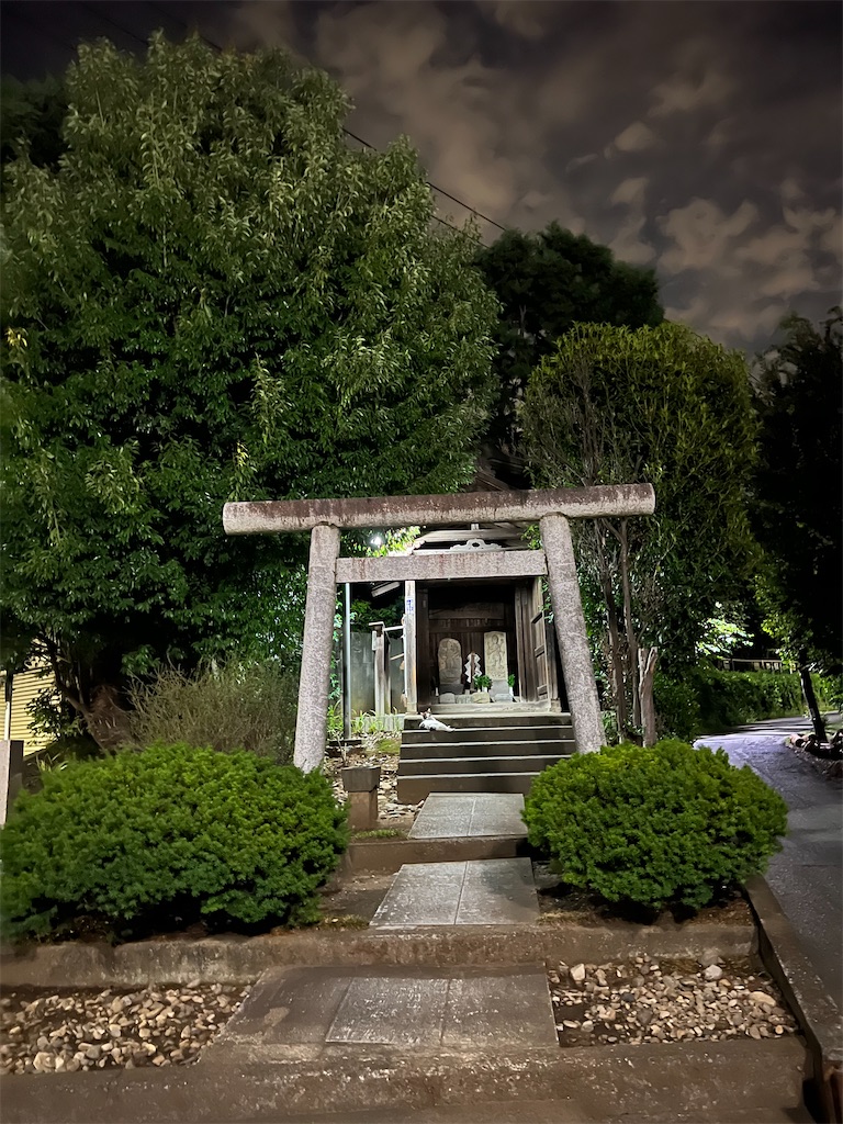 f:id:willemer:20220817111512j:image f:id:willemer:20220817111512j:image