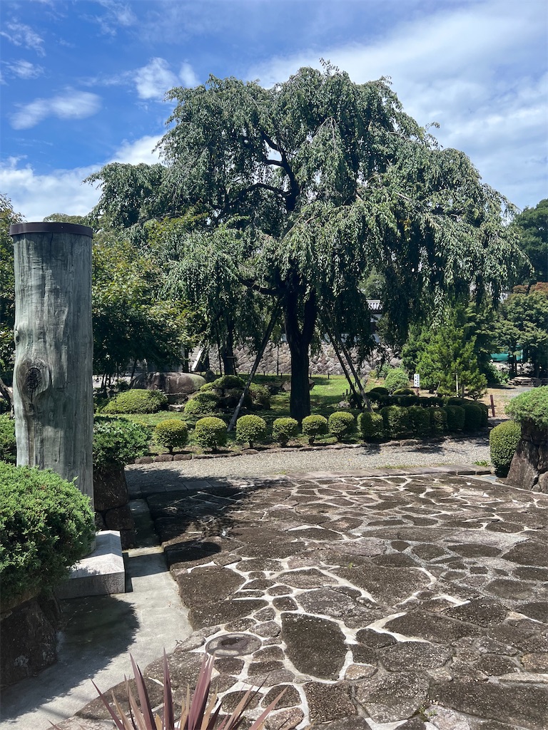 f:id:willemer:20220817205803j:image