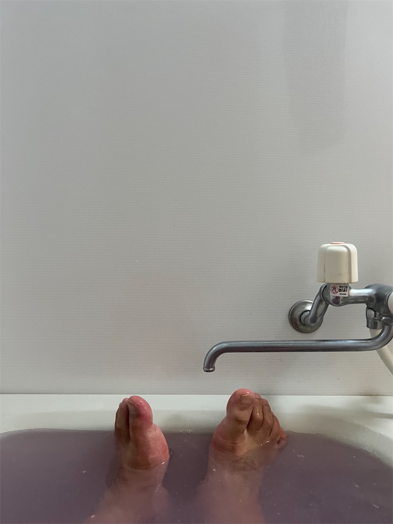 f:id:willemer:20220818110643j:image