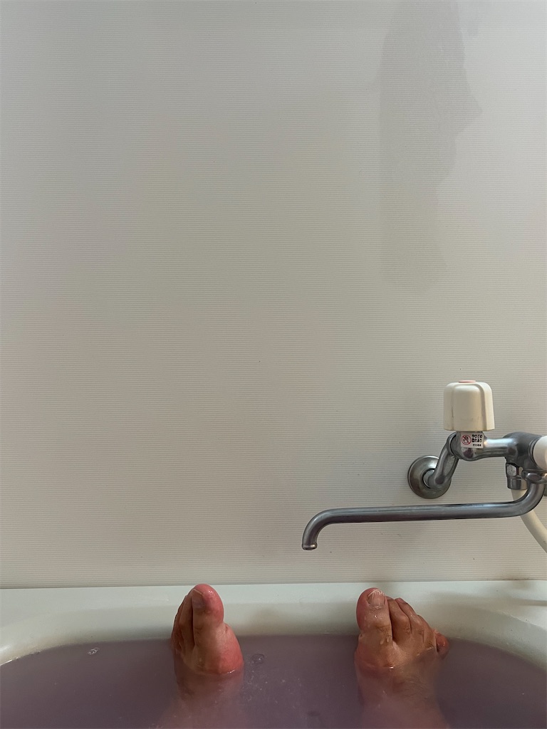 f:id:willemer:20220820174014j:image