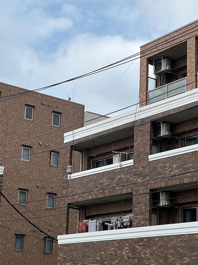 f:id:willemer:20220822211701j:image