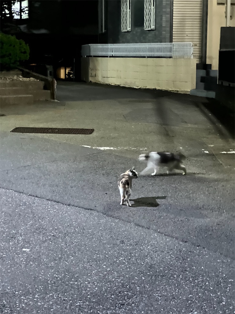 f:id:willemer:20220822211718j:image