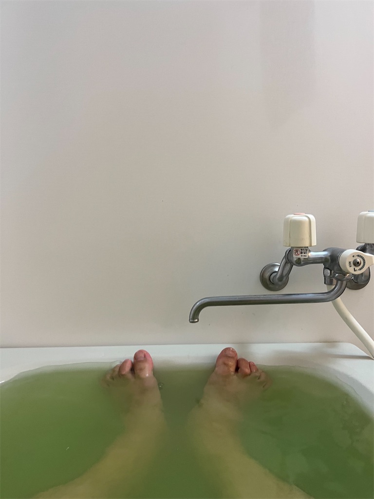 f:id:willemer:20220823120139j:image