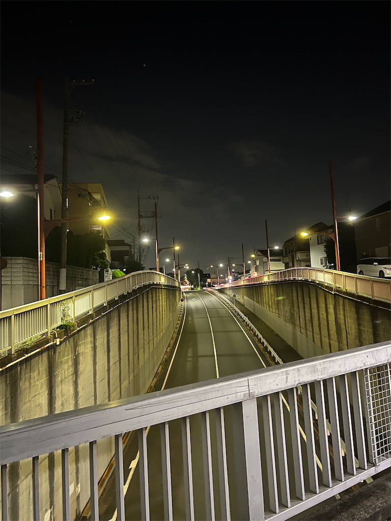 f:id:willemer:20220824114253j:image