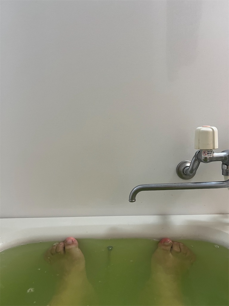 f:id:willemer:20220826211137j:image