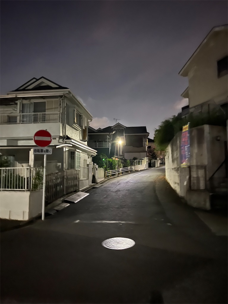 f:id:willemer:20220826211241j:image