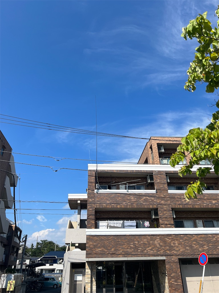 f:id:willemer:20220828114900j:image