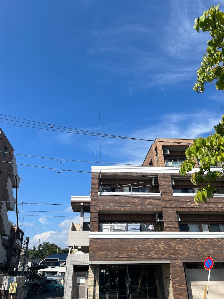 f:id:willemer:20220828114926j:image